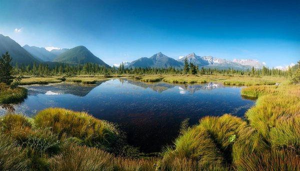 Top Tips for Finding the Ideal Dorset Holiday Rental: Your Gateway to Memorable Fossil Hunting Escapades