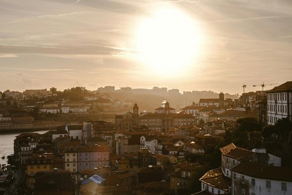 Discover Unforgettable Wildlife Photography Adventures: Top Guided Tours Across the UK